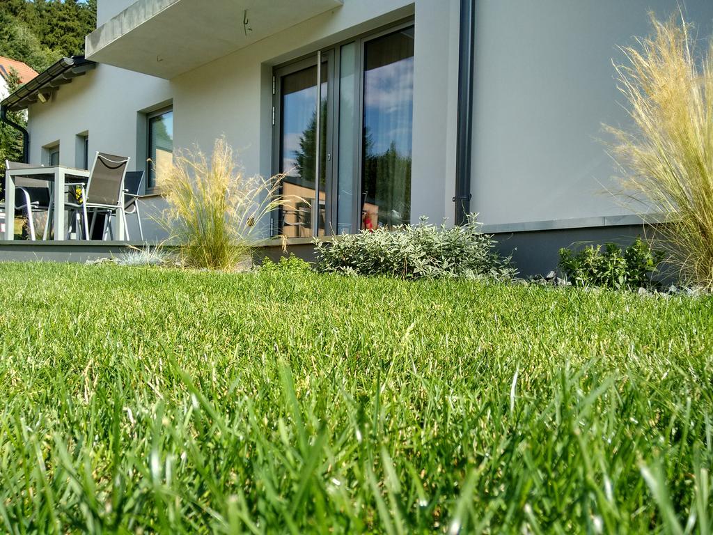 Apartment Haus Sembachtal Winterstein Eksteriør billede
